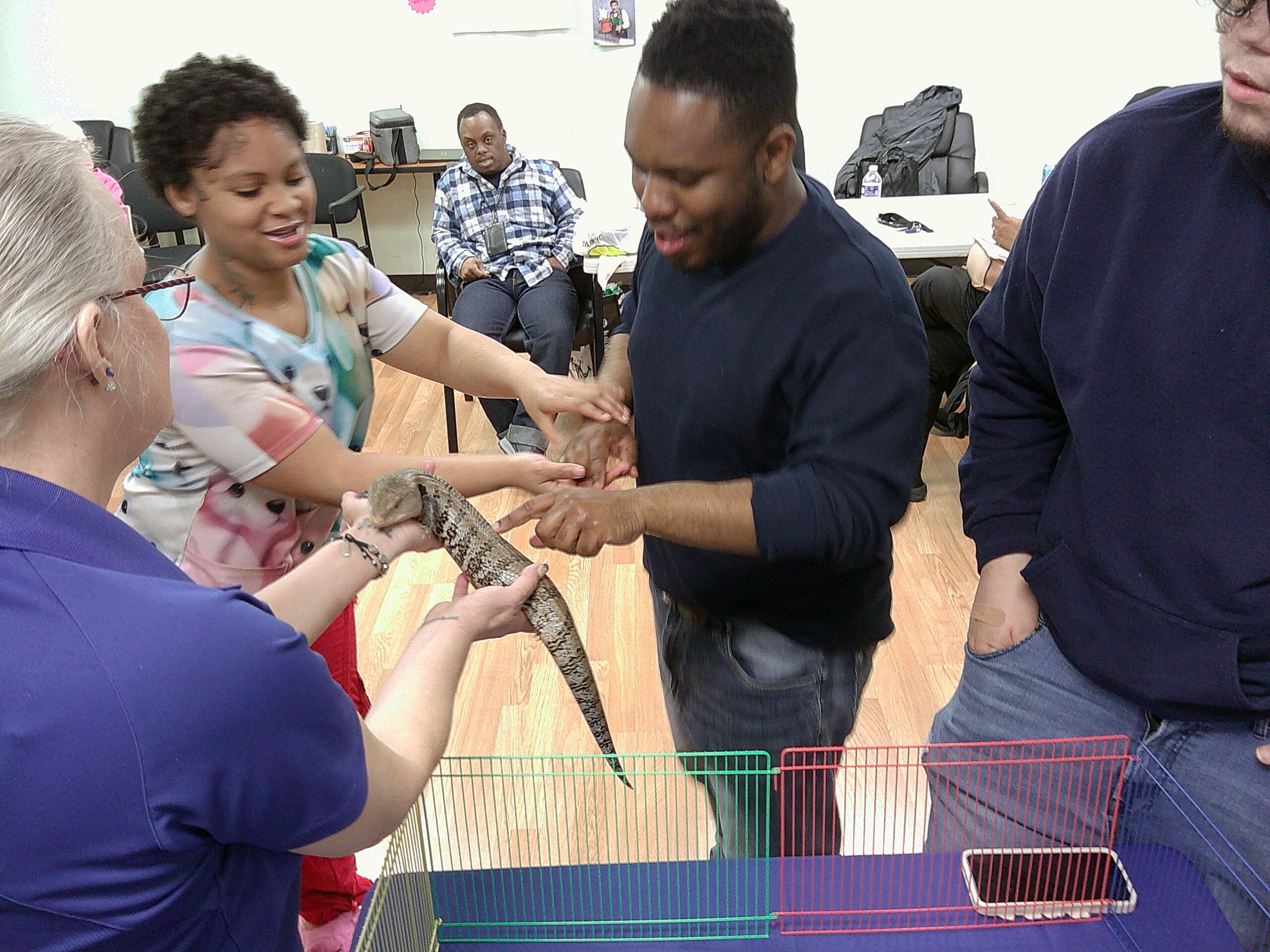 Featured image for “Up Close with the Wild: Critter Connections Brings Adventure to ARCC”